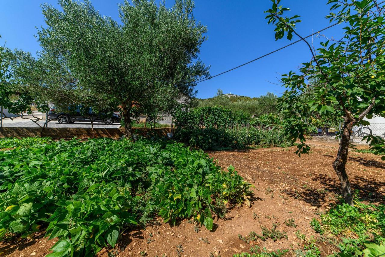 Apartman Maslina Šibenik Kültér fotó